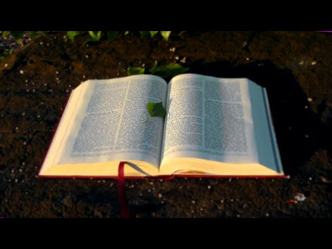 Video: Ano Ang Bibliya