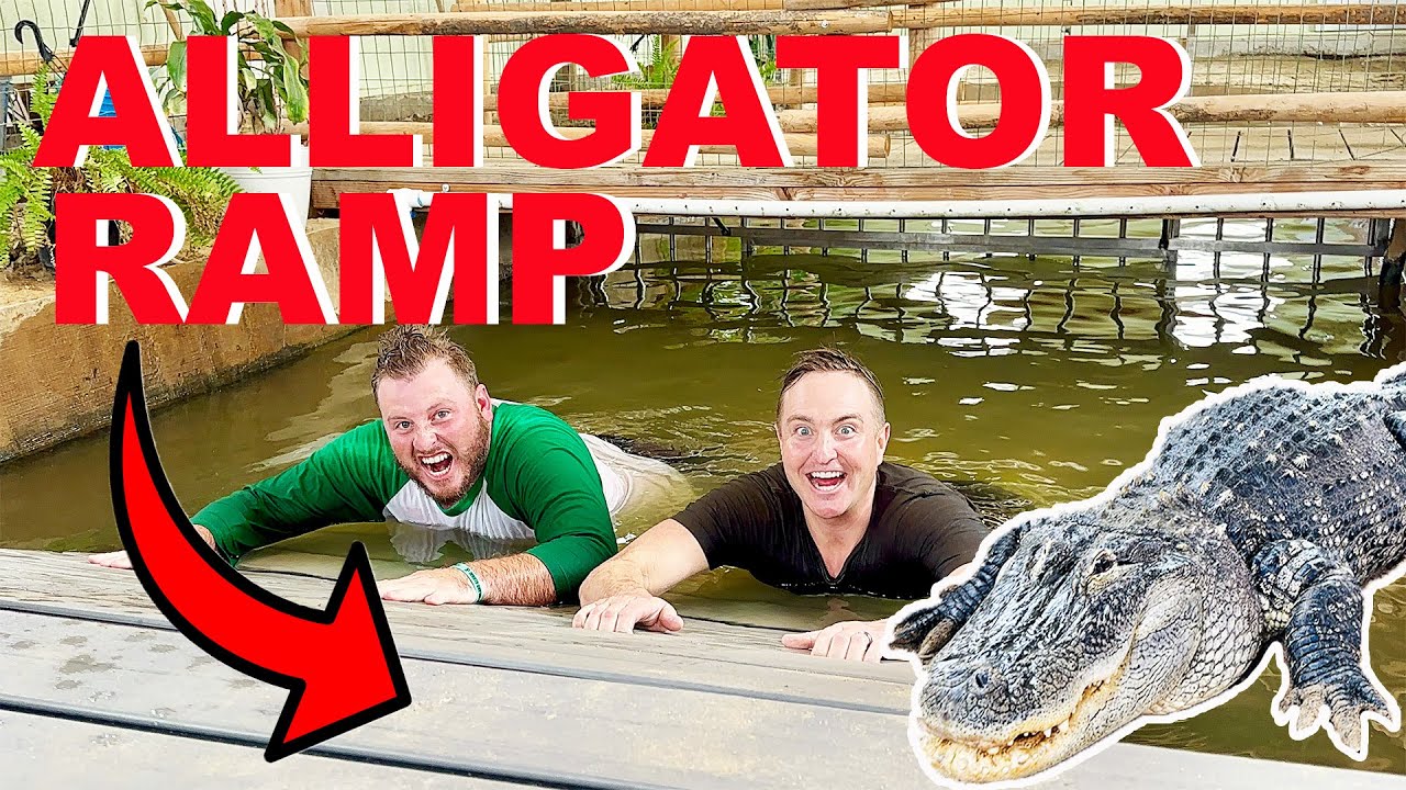 Installing A New Ramp For My Alligators | PLUS Alligator Update! - YouTube
