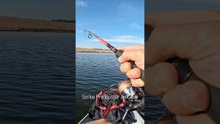 #fishing #рибалка #shimanotwinpower #shimano #pontoon21 #gadharrier #strikepro #busterjerk #pike