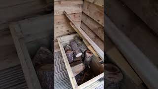 The Ark next to fishing lake