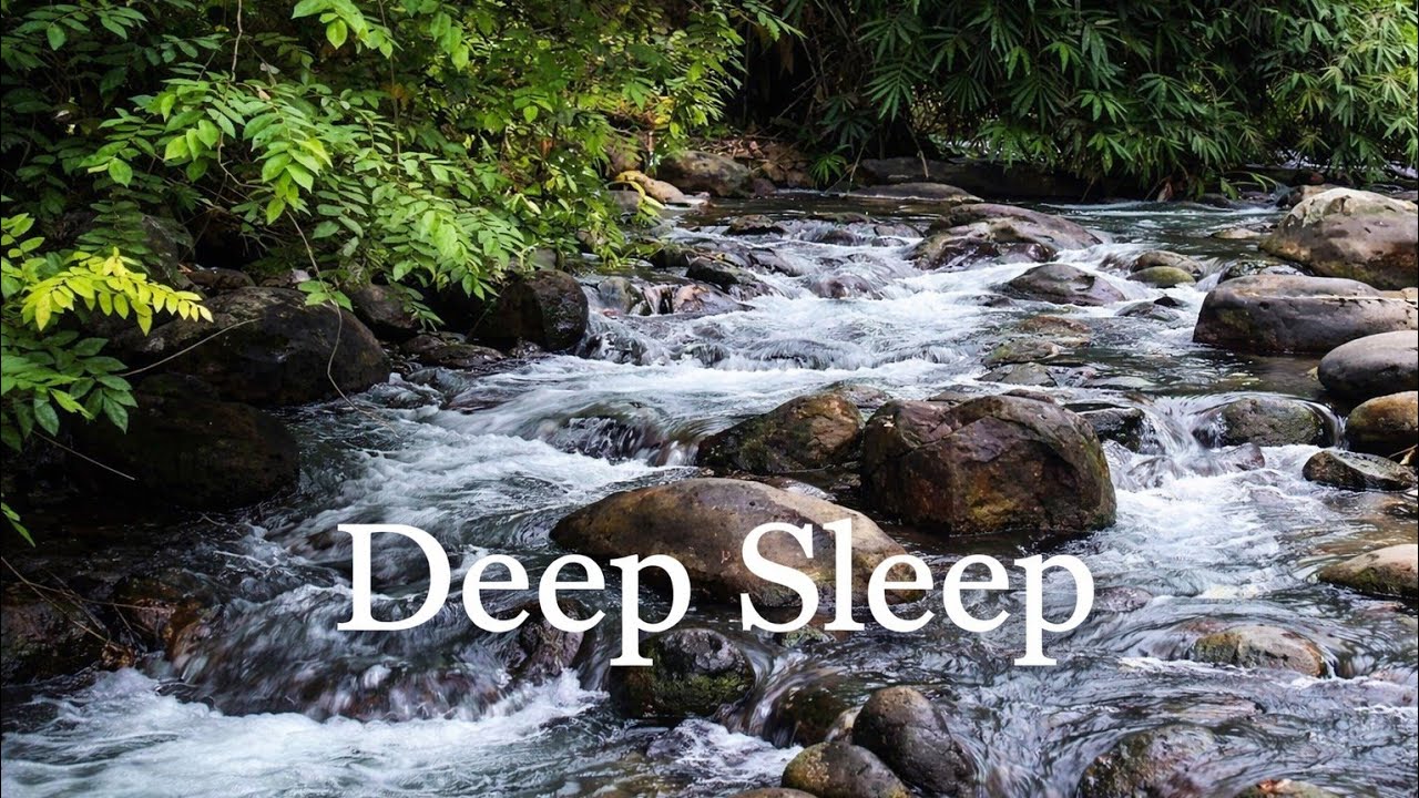 Relaxing Forest River Sounds – 1 Hour Natural Water Ambience for Sleeping
