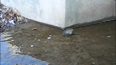 MINK #18 - TRAPPING 2014