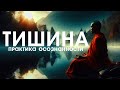 ТИШИНА - ПРАКТИКА ОСОЗНАННОСТИ [NikОsho]