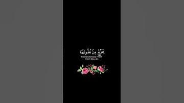 القرآن الكريم | سورة النحل | للقارئ خالد الجليل | تلآوة خاشعة جميله جدآ😌❤ | حالات واتس اب