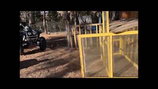 DIY Greenhouse With Old Windows