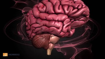 Facial Recognition: Research Updates Video - Martha Burns | MedBridge