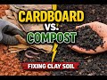 Cardboard Worked Better Than Compost on My Clay Soil — Here’s Why