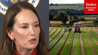 Brooke Rollins Sounds The Alarm On China 'Undermining Our Food Supply Chain' By Owning US Farmland