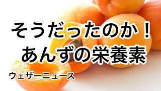 そうだったのか！あんずの栄養素