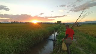 อย่ากระพริบตาปักเบ็ดซ้ำหมายในดงปลาช่อนเกิดมากำลังเคยเจอแบบนี้