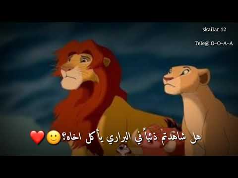حالات واتساب سيمبا