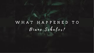 What Happened to Diane Schuler? // r/unresolvedmysteries deep dive