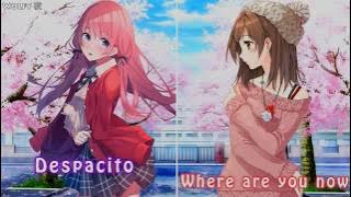 Nightcore - Despacito ✗ Faded ✗ Shape Of You ✗ Treat You Better (Switching Vocals ) (Lyrics)