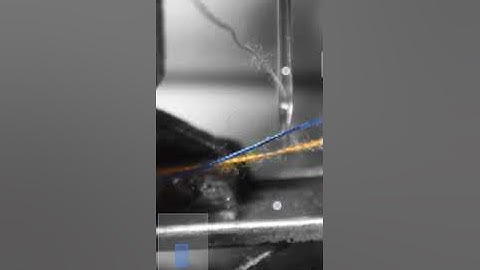 Snapeed Tutorial | Color Splash Effect | Selective Color Tutorial | PixelRajeev