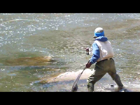 Andy Kim rock on Taylor River 0 weight rod big brown trout fly fishing April 2009