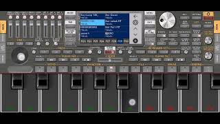 Org 2024 Vip Arap Tulum Enstrüman Loop Ücretsiz Set Yöresel Doğu Halayları