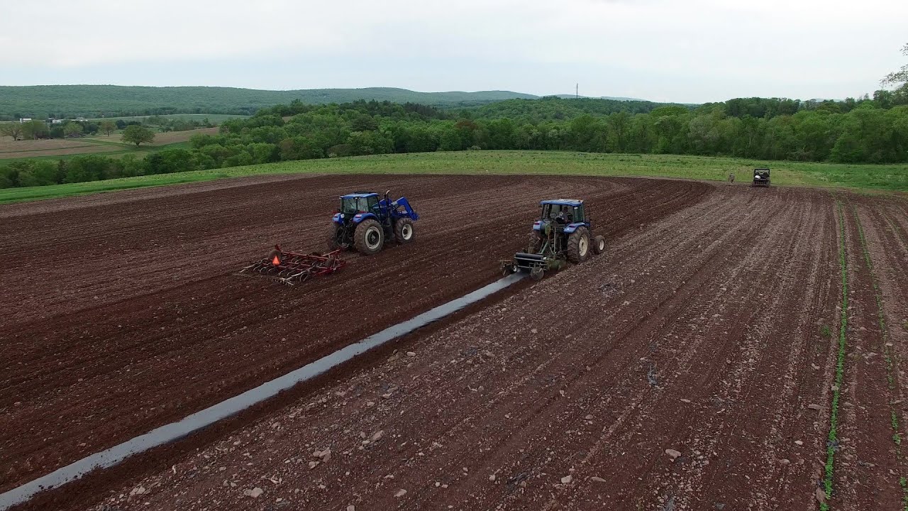 Farm-Vlog #16 Der große Viehtrieb, jetzt wird aufgerückt