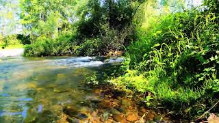 Relaxing Zen Music with Water Sounds  Beauty Of Nature
