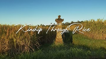 Kinship through Rice