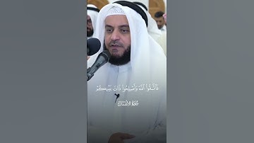 سورة الأنفال | الأيه ( ١ )