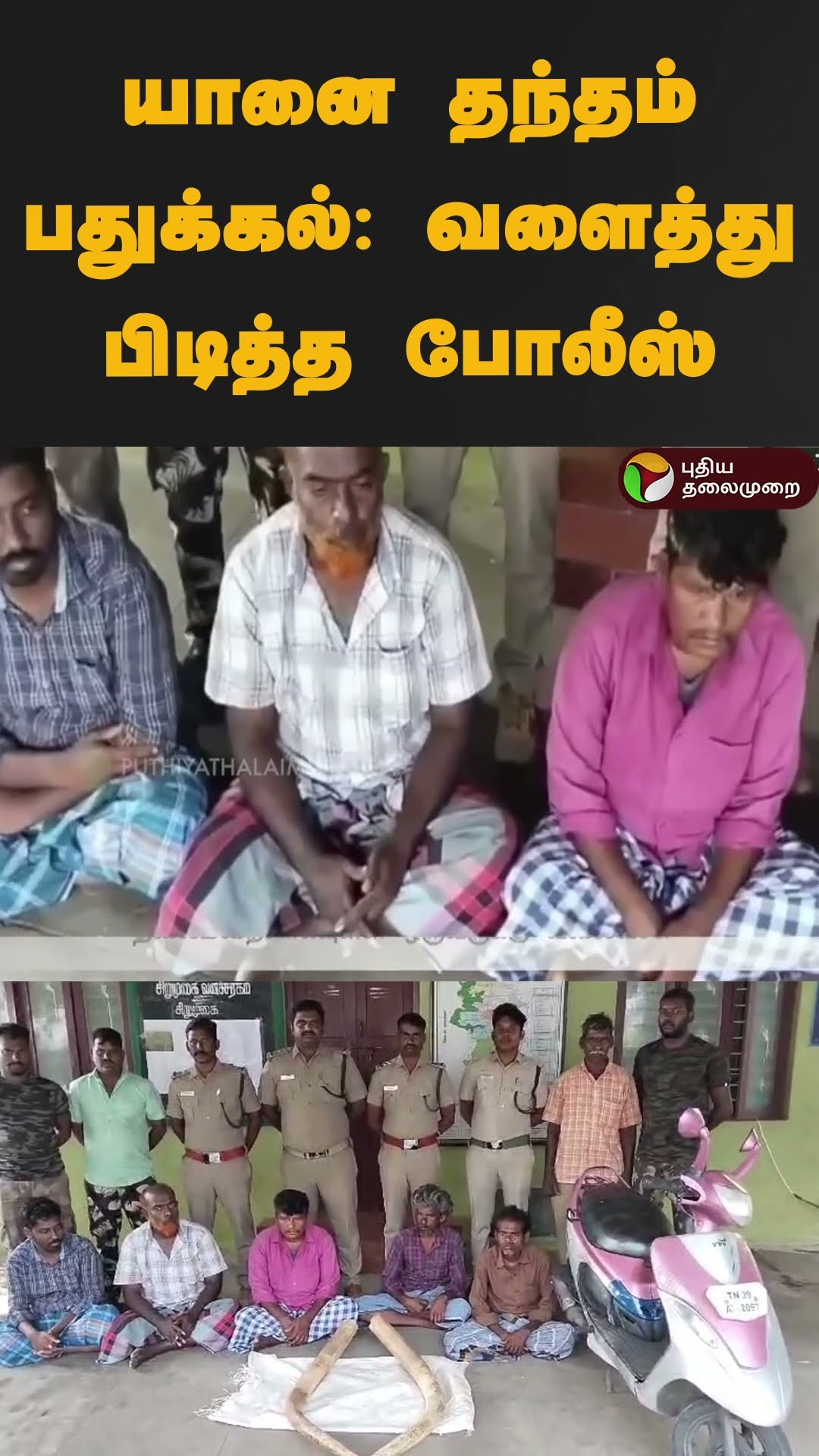 யானை தந்தம் பதுக்கல்: வளைத்து பிடித்த போலீஸ் | #shorts | #coimbatore | #elephant | #trunk