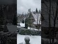 #Beautiful#Snow#FreezingWeather❄️❄️☃️🏔️🗻 #fypシ゚
