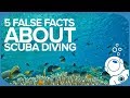 5 false facts about scuba diving