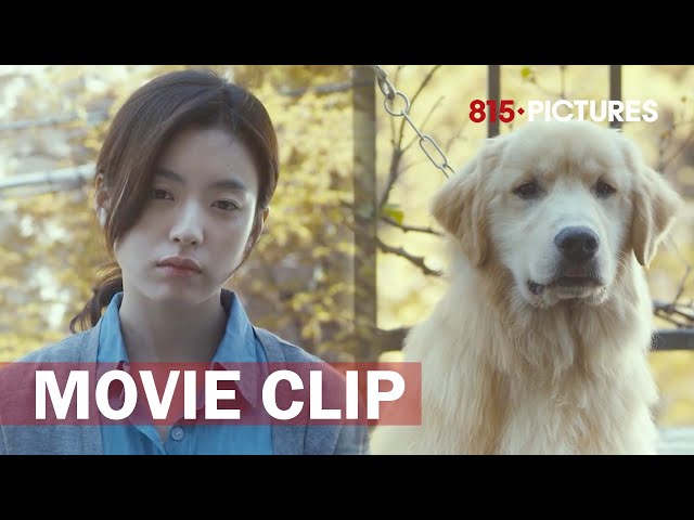 Blind Girlfriend regains eyesight and faces a dramatic situation | 'Always' | So Ji-sub, Han Hyo-joo class=
