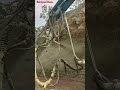 Giant Spray Machine Working on a Slope! 🚜💨 #Construction**