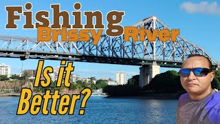 Is Brisbane River a better fishing location? Let's find out!
