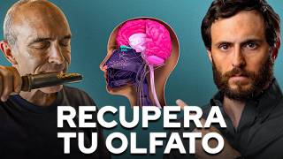 Cómo Los Olores Cambian Tu Cerebro