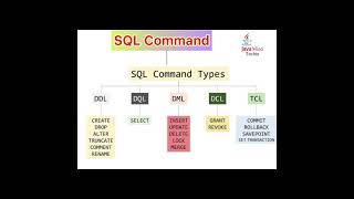 Types of SQL Command |#sql |#sqlinterview