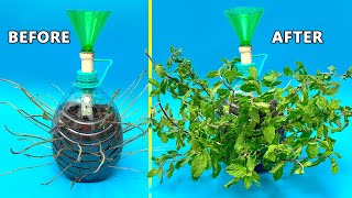 UNBELIEVABLE 10x FASTER GROWTH WITH DIY AIR POT USING OLD PLASTIC BOTTLES