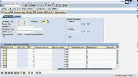 FS2 SAP tutorial How to post a document in SAP murali krishna nookella