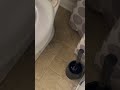Is Your Toilet Hiding a Secret Leak?