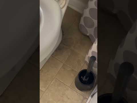 آیا توالت شما یک نشتی مخفی را پنهان می کند