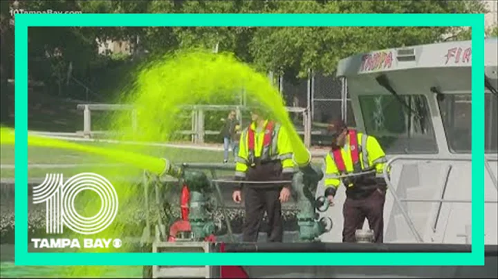 River O'Green: Hillsborough River dyed for St. Pat...