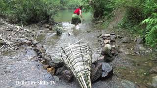 Primitive Life: Skills Make Fish Trap From Bamboo Catch Big Fish - Cacth Fish For Food