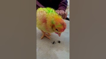 iPhone 7 Plus Camera Result Check 2023 #youtube #subscribe #like #iphone #viral