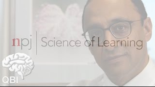 About the journal npj Science of Learning