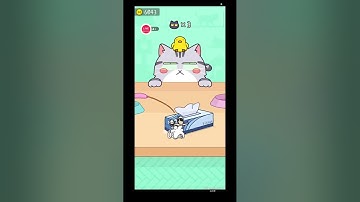 Hide and Seek: Cat Escape LIVE 😼 | Smarter Moves, Bigger Escapes! 😹😸😻 | Let’s Dominate 15