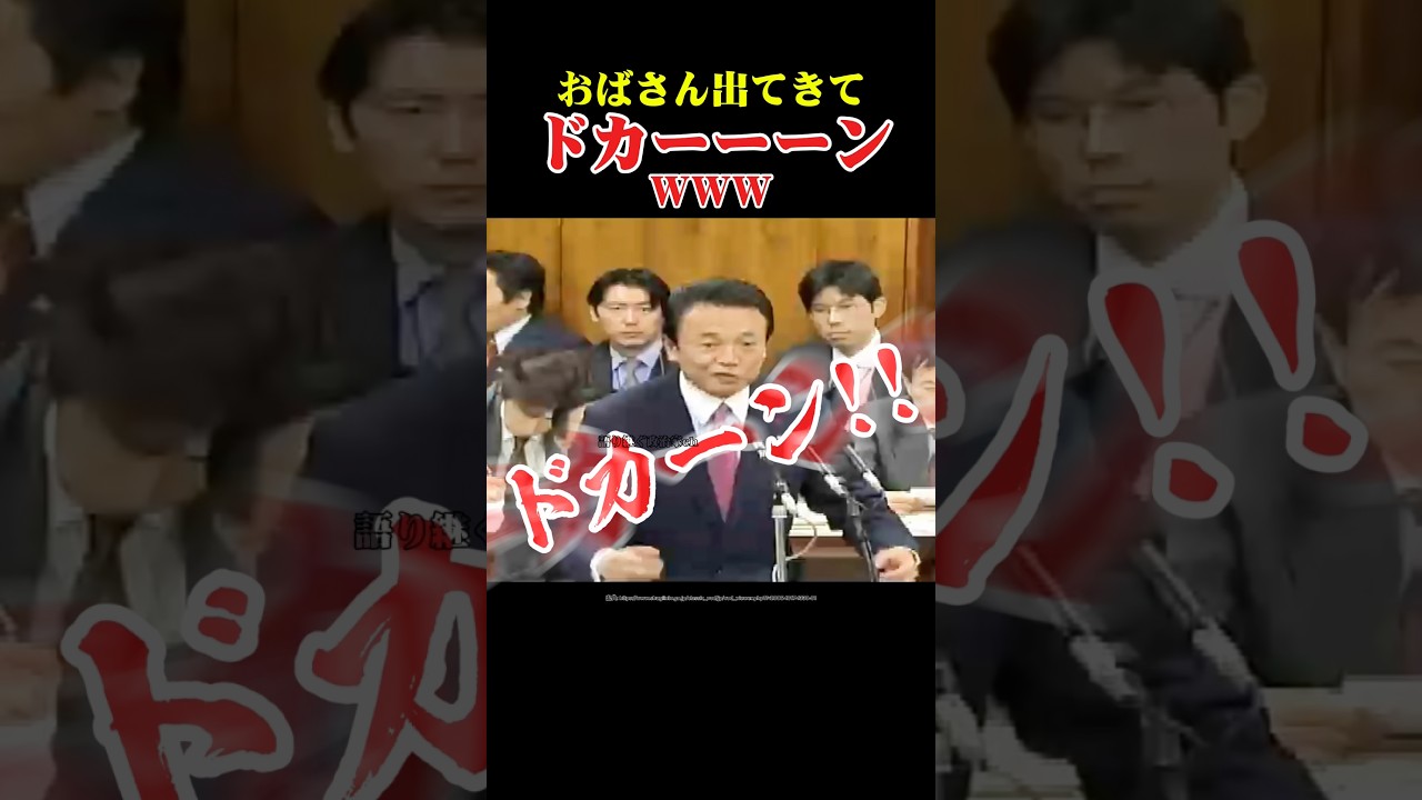 【爆笑国会】おばさん出て来てドカーーン！ #自民党 #総理大臣 #麻生太郎