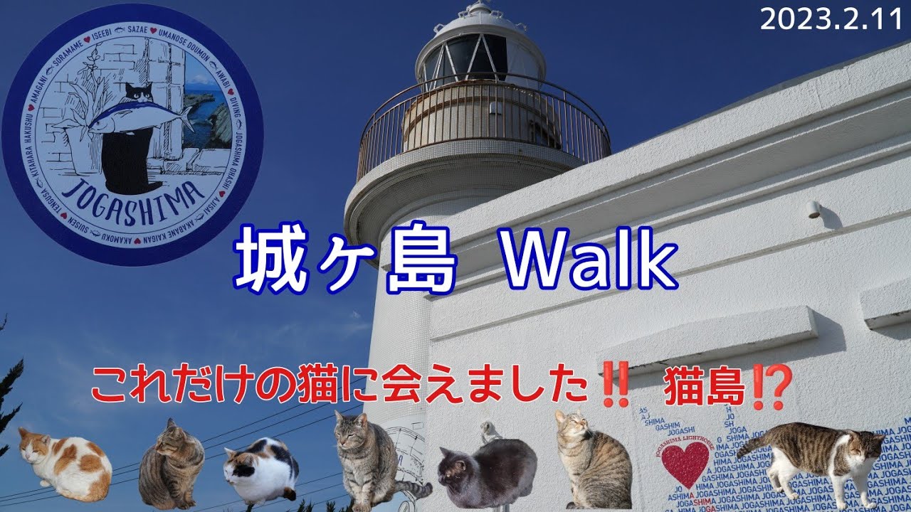 城ヶ島Walk｜たくさんの猫に会える島!! 城ヶ島大橋を歩いて渡ったら絶景だった!