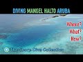 Diving Mangel Halto, Aruba | The Shore Dive Collection | TropicLens