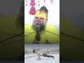 premanand ji maharaj #motivation #fitness #viral #original #shorts #premanandjimaharaj #descipline