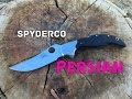 Spyderco Persian Quick Look