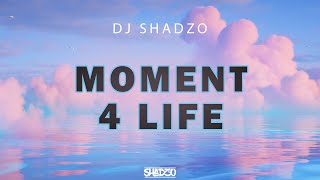 DJ ShadzO - Moment 4 Life (Amapiano Remix)