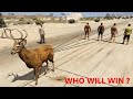 How many MEN can defeat a DEER - GTA V (tug of war)