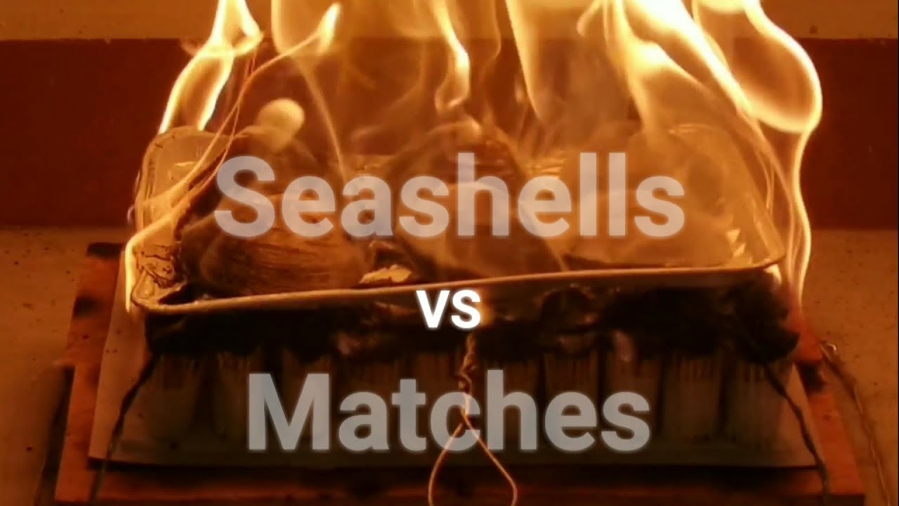 #match#seashell#bbq#fire [MM] Experiment Match VS Seashell 성냥 vs 조개 ...