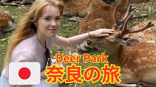 Nara, Japan Vlog | Finally meeting the famous bowing deer